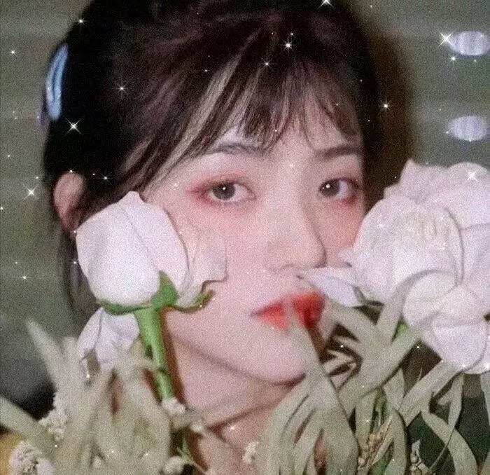 你好布拉德